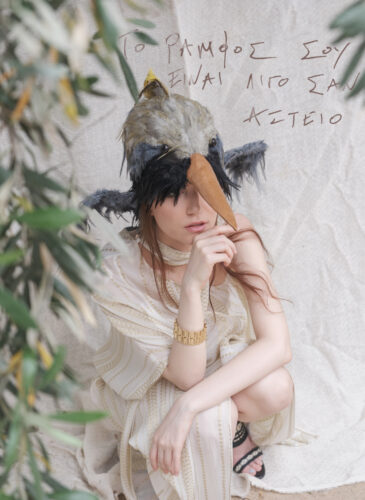 13)TheBirds(Ornithes)II